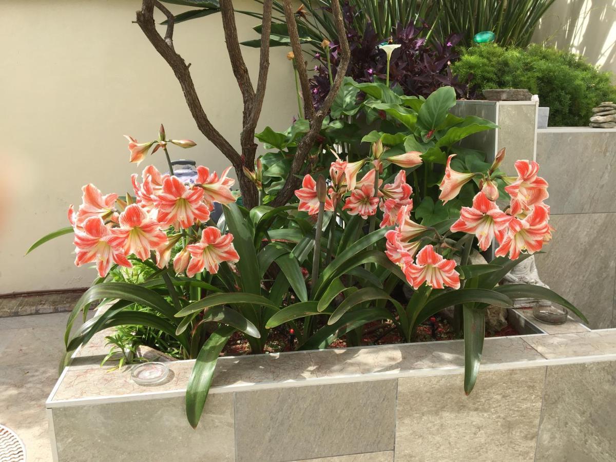Apartamento Bizcocheros Con Piscina Y Jardin Privado 赫雷斯 外观 照片